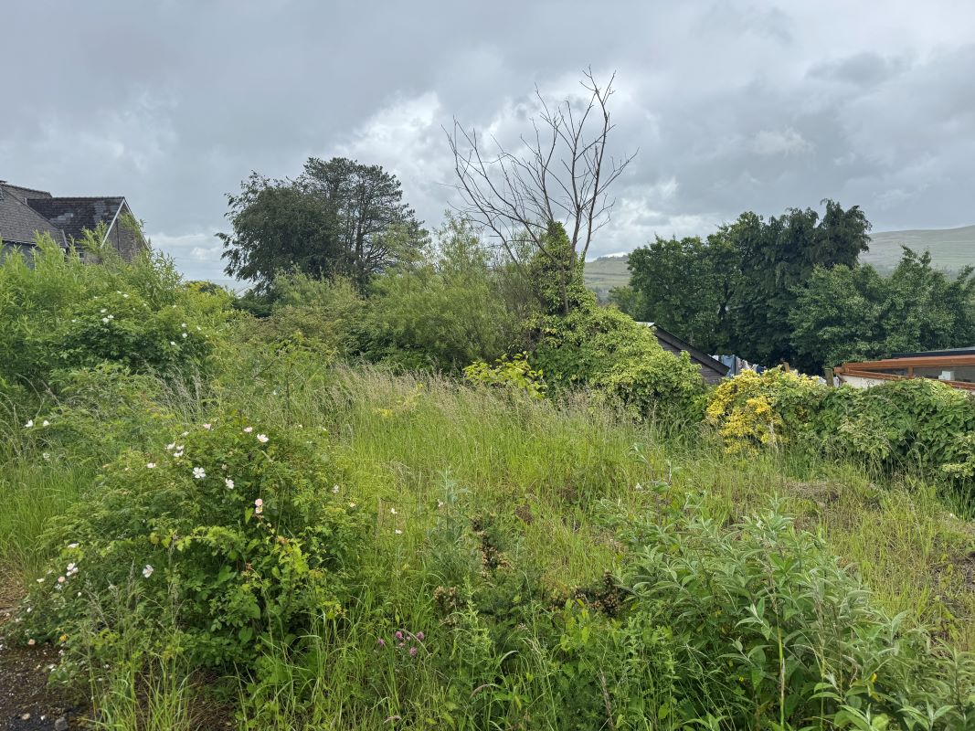 Image 4 of 19