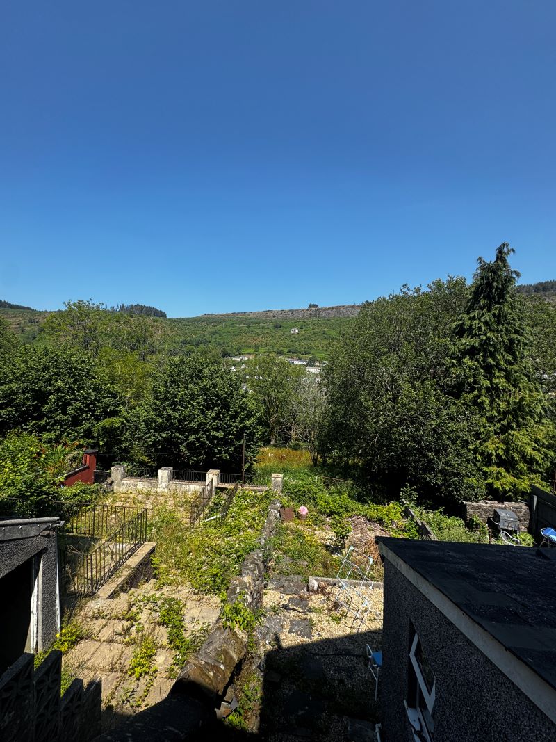 Image 12 of 12