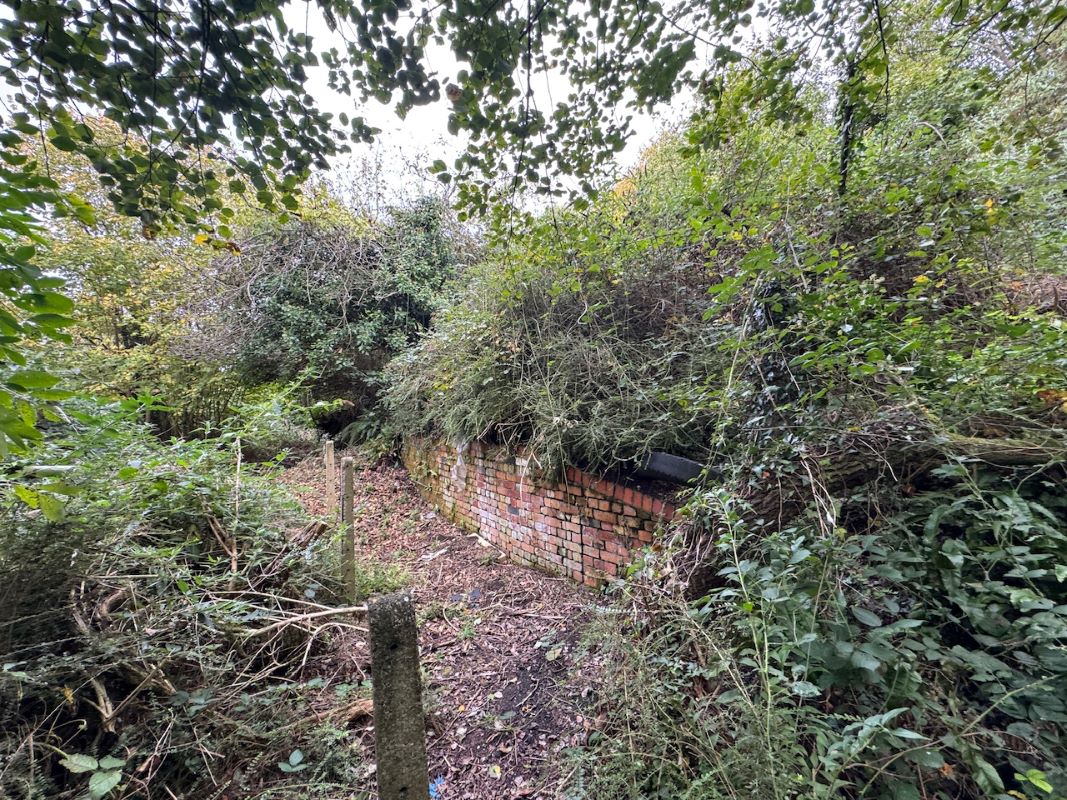 Image 15 of 37