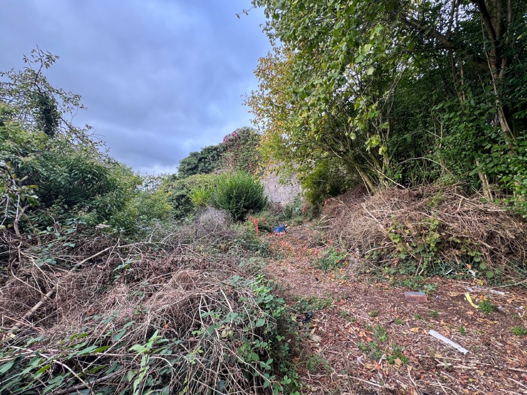 Image 16 of 37