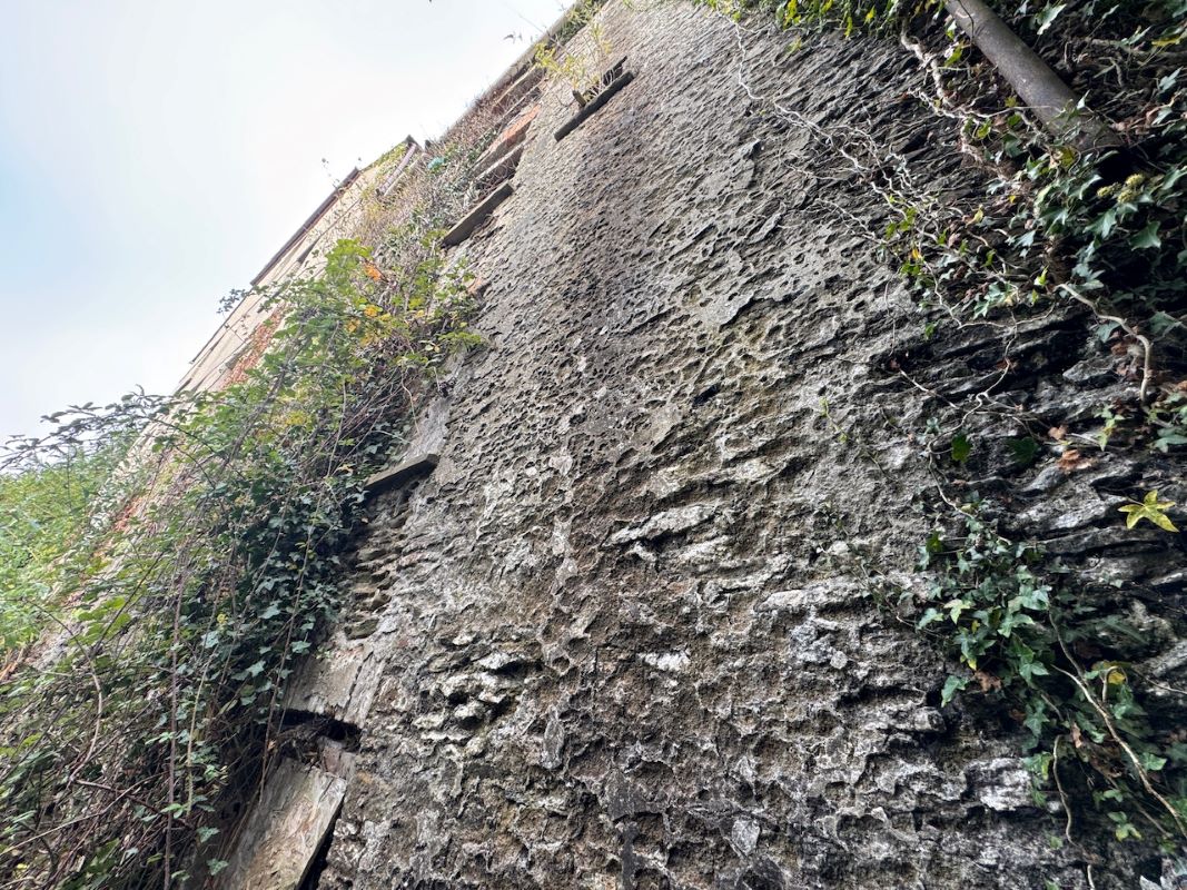 Image 19 of 37