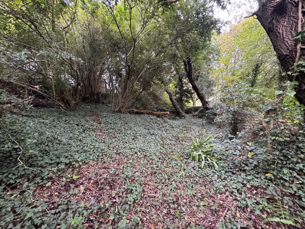 Image 20 of 37