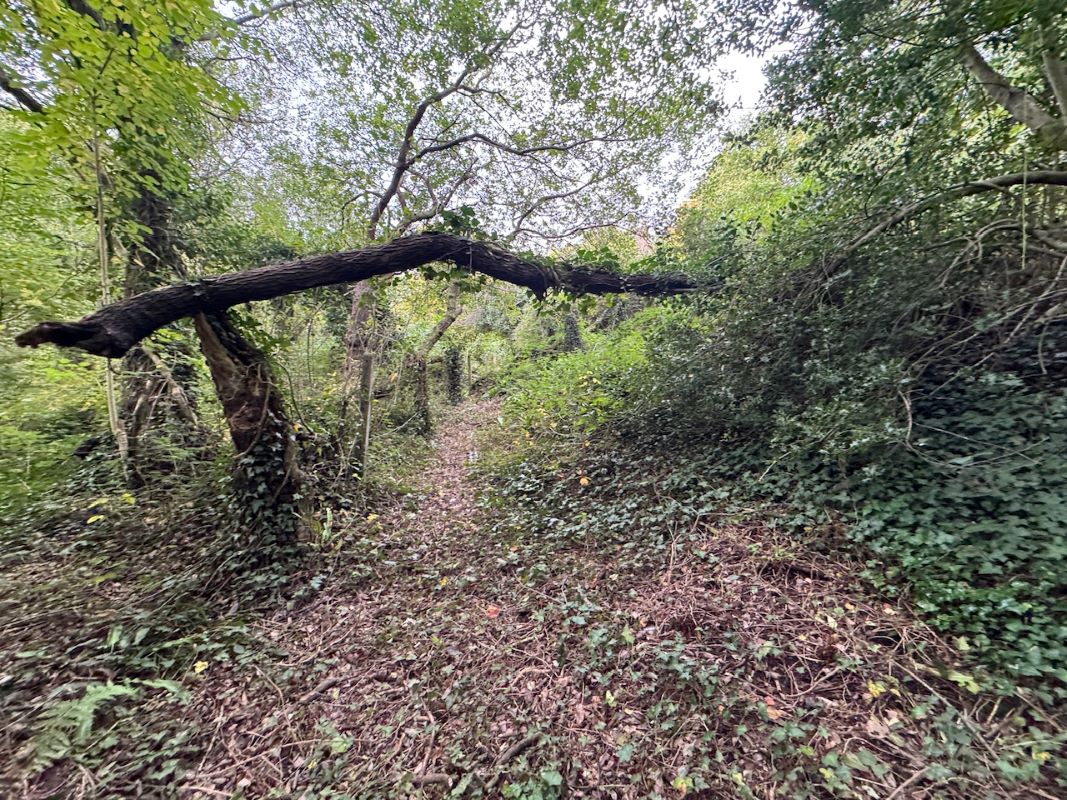 Image 22 of 37
