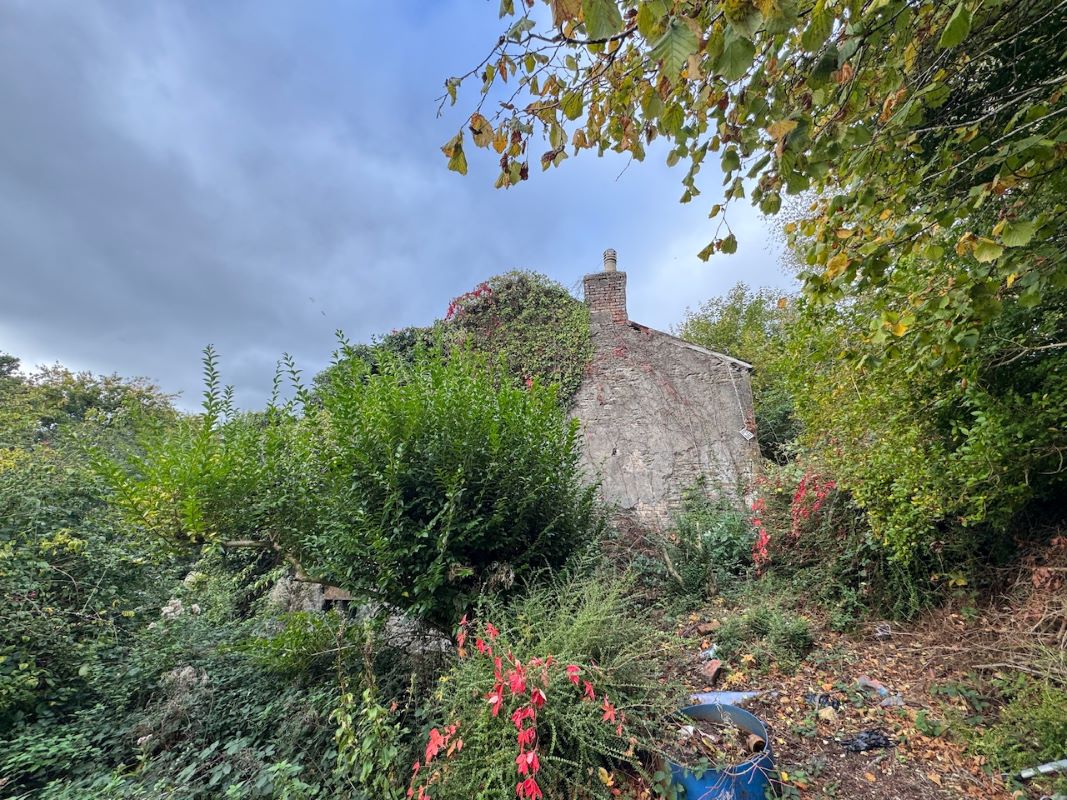 Image 23 of 37