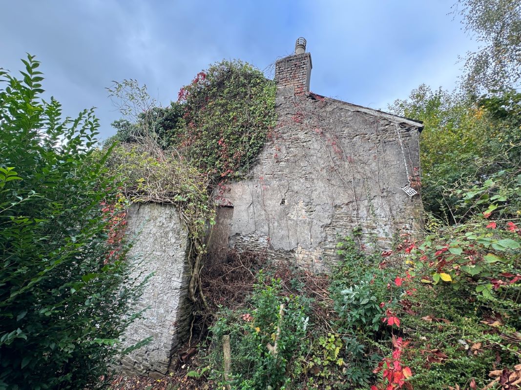 Image 26 of 37