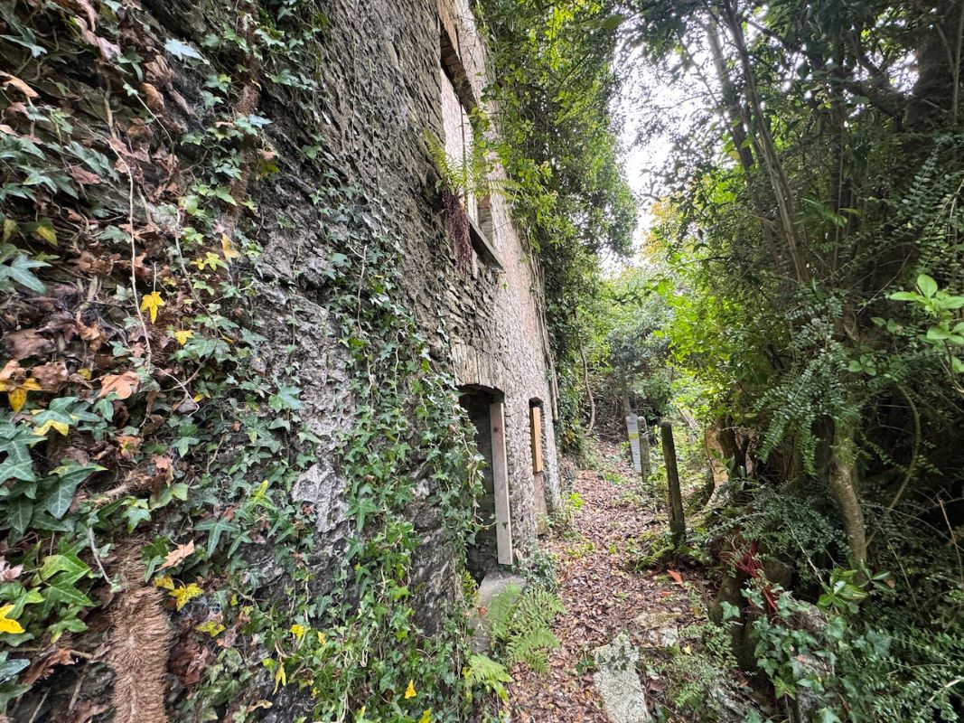 Image 34 of 37