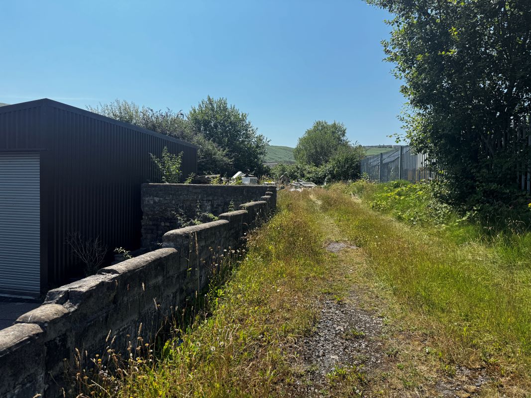 Image 8 of 46