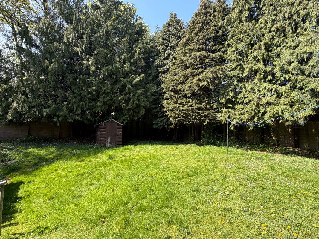 Image 2 of 4