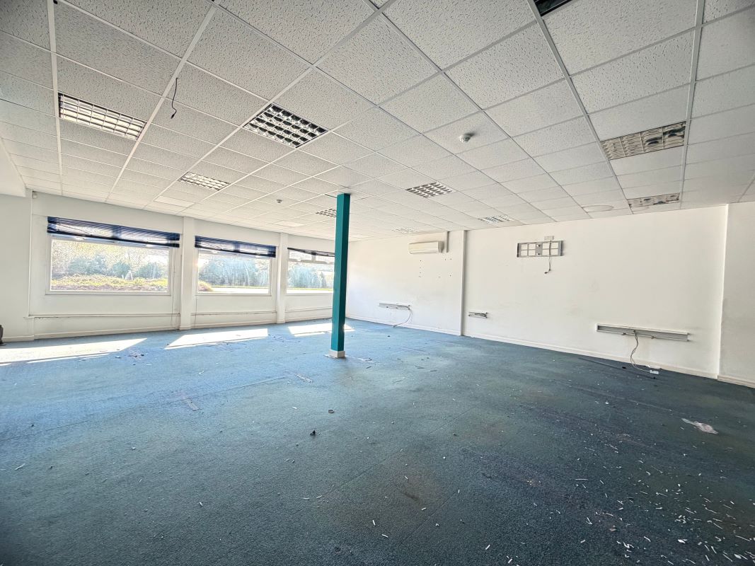 Image 7 of 11
