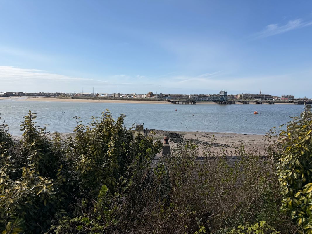 Image 1 of 11