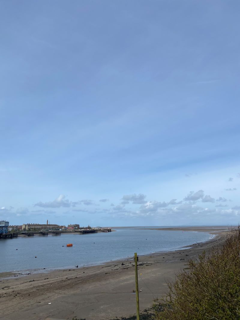 Image 7 of 11