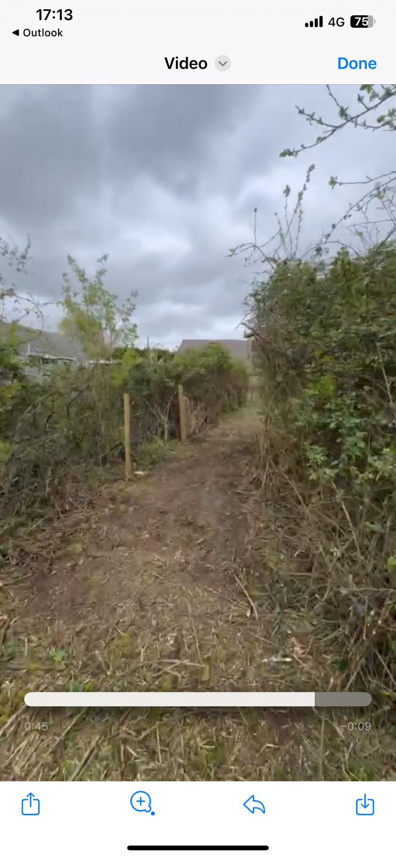 Image 8 of 11