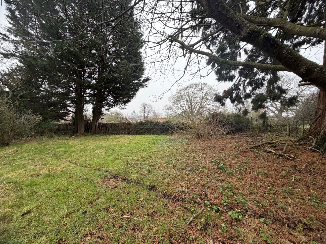 Image 2 of 6