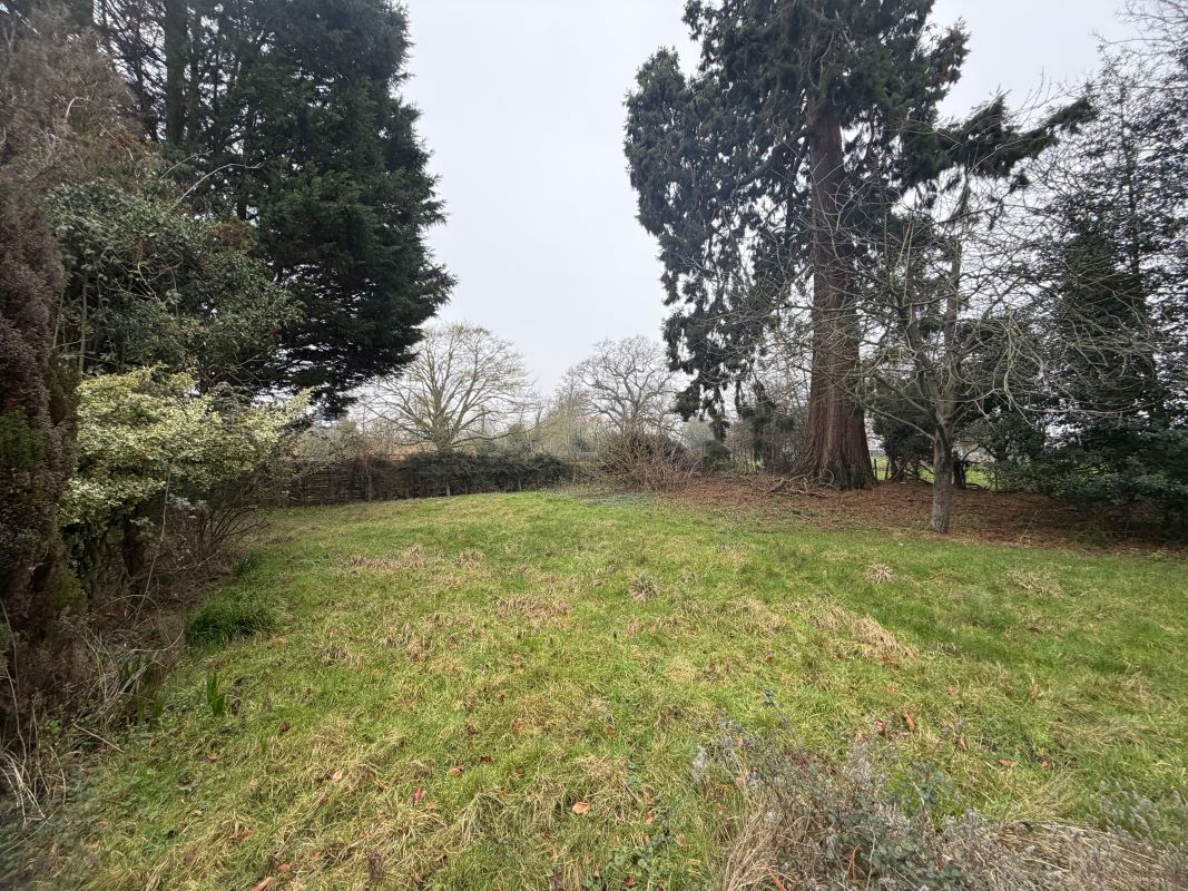 Image 5 of 6
