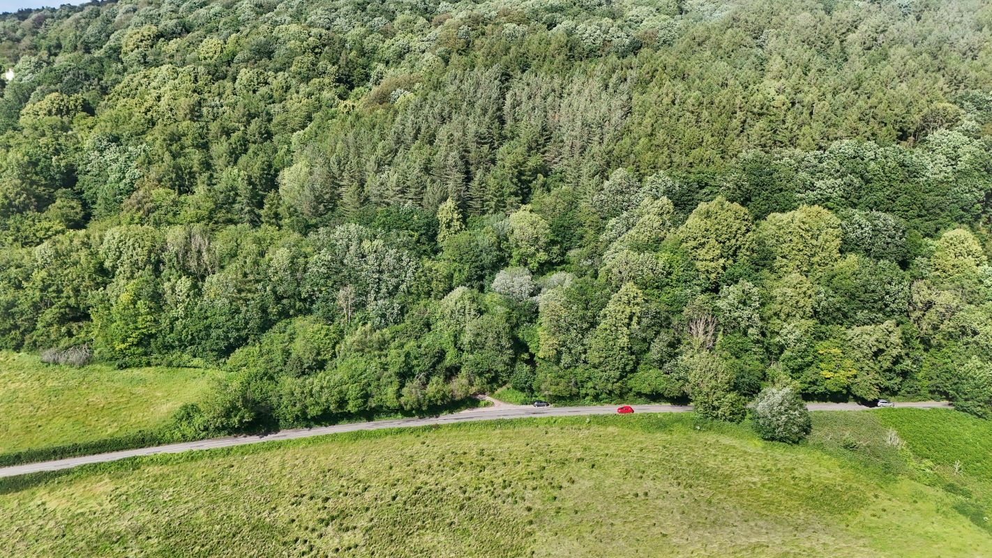 Image 6 of 18
