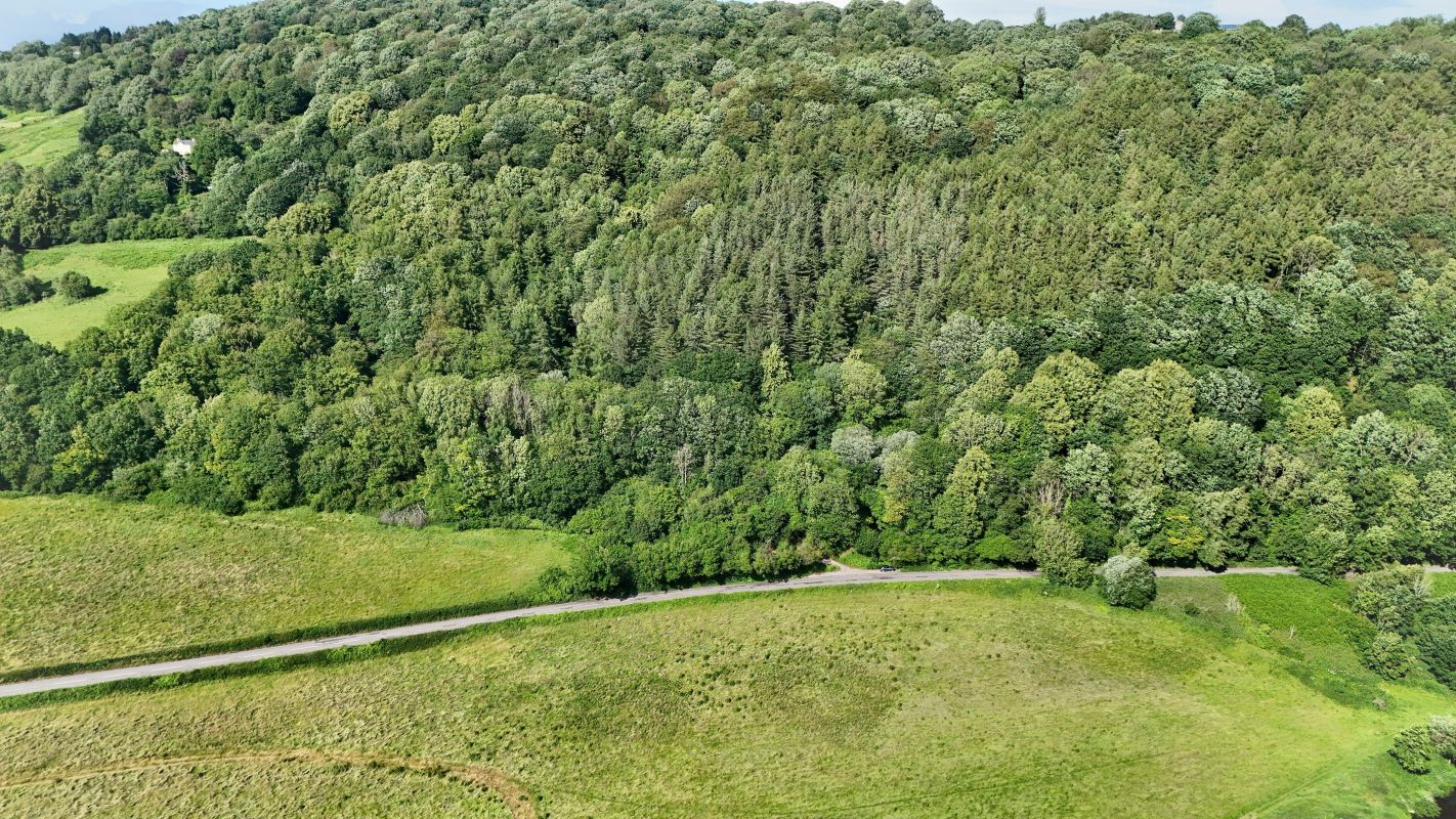 Image 5 of 18