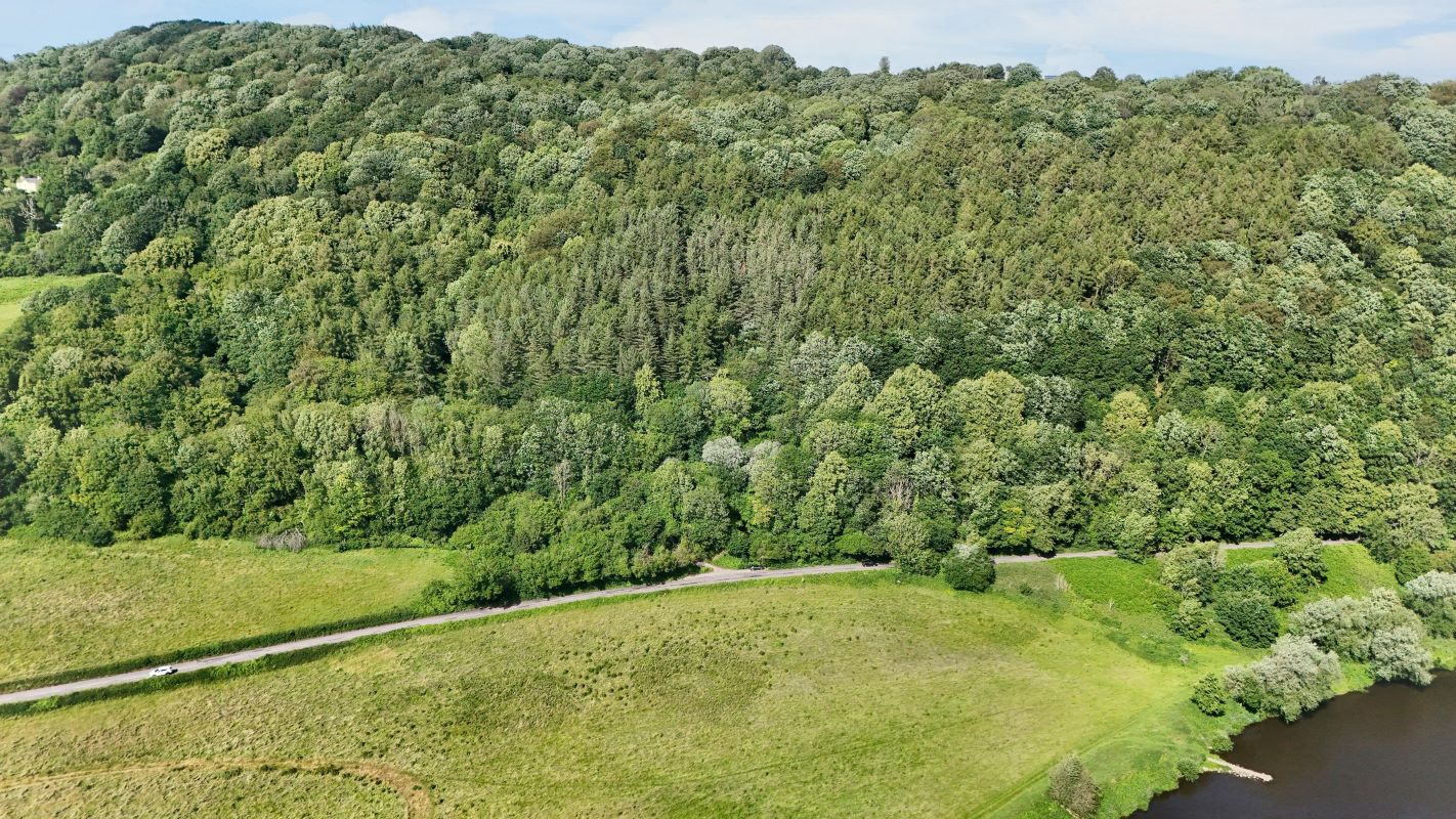 Image 7 of 18