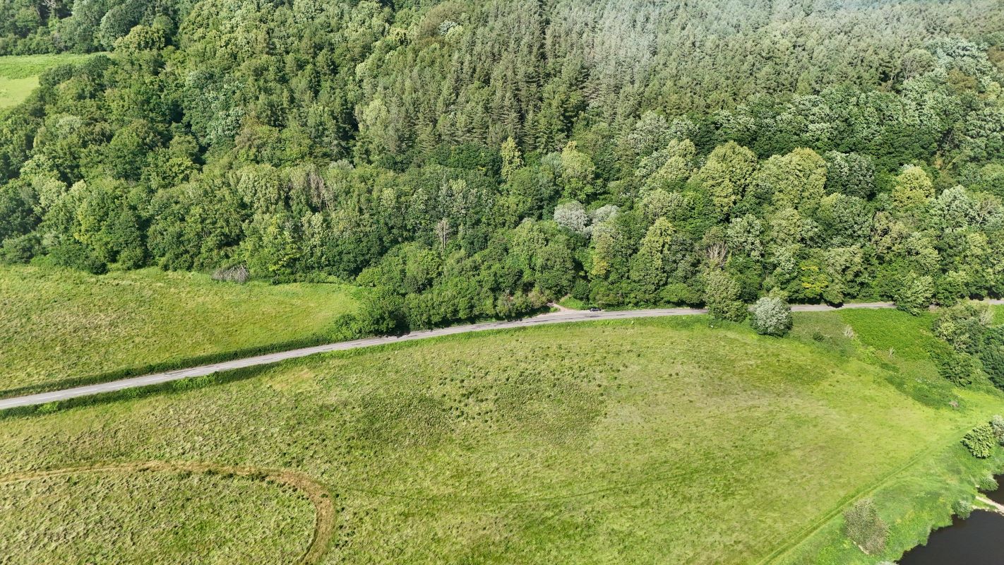 Image 8 of 18
