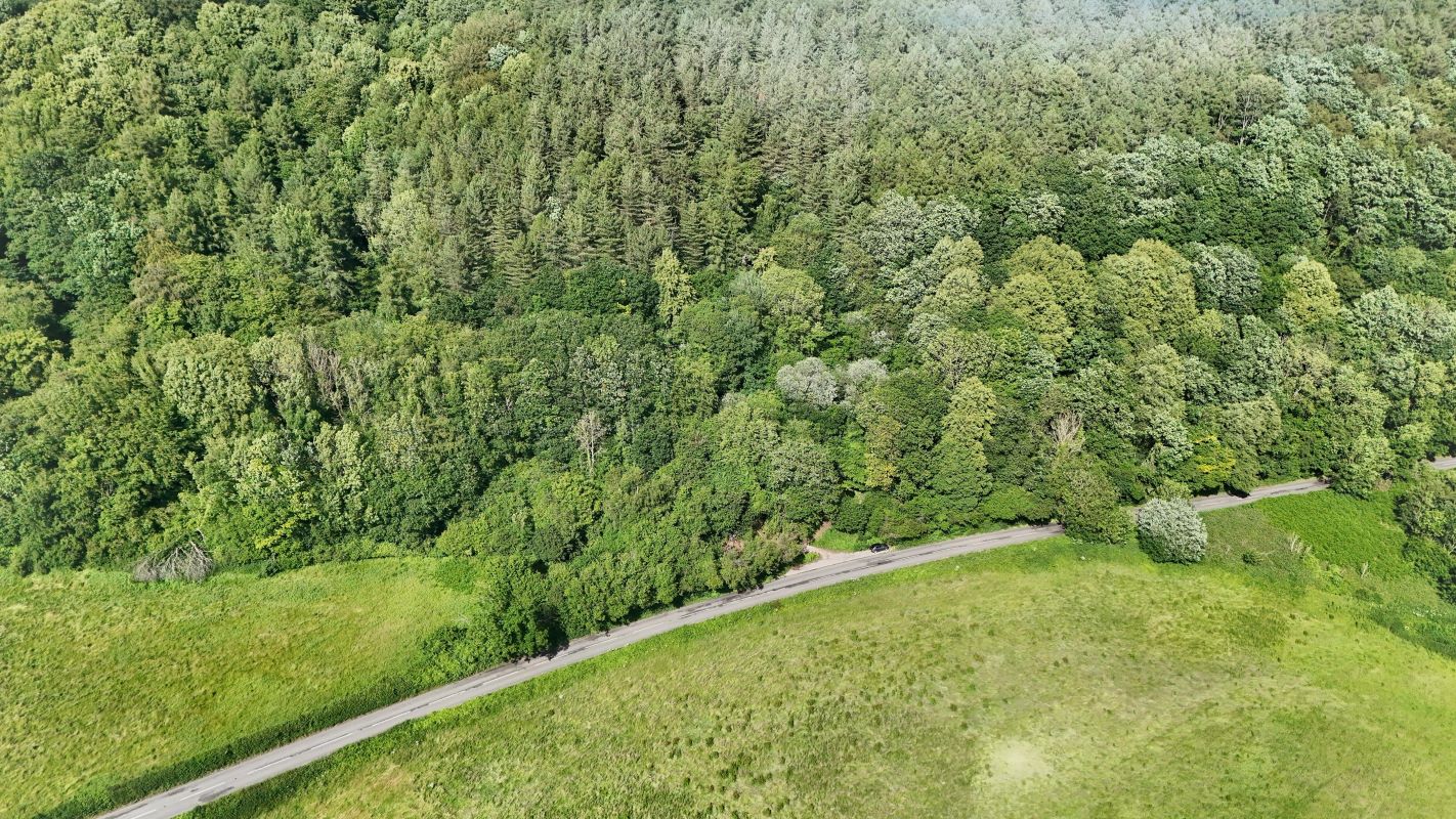 Image 9 of 18