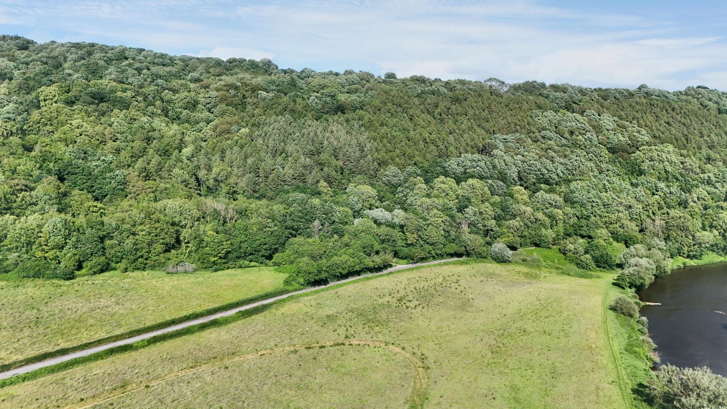Image 11 of 18