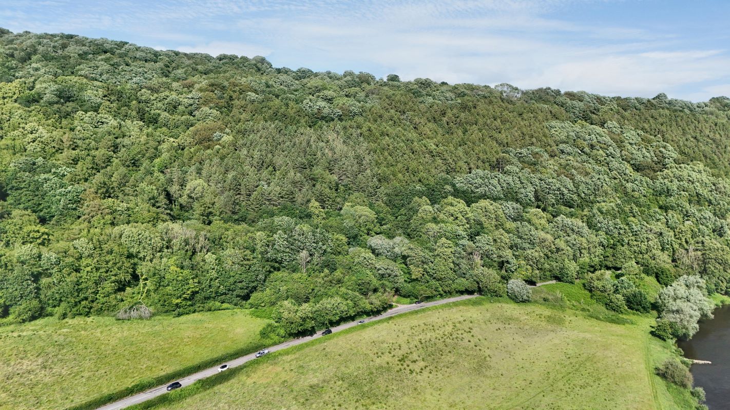 Image 12 of 18