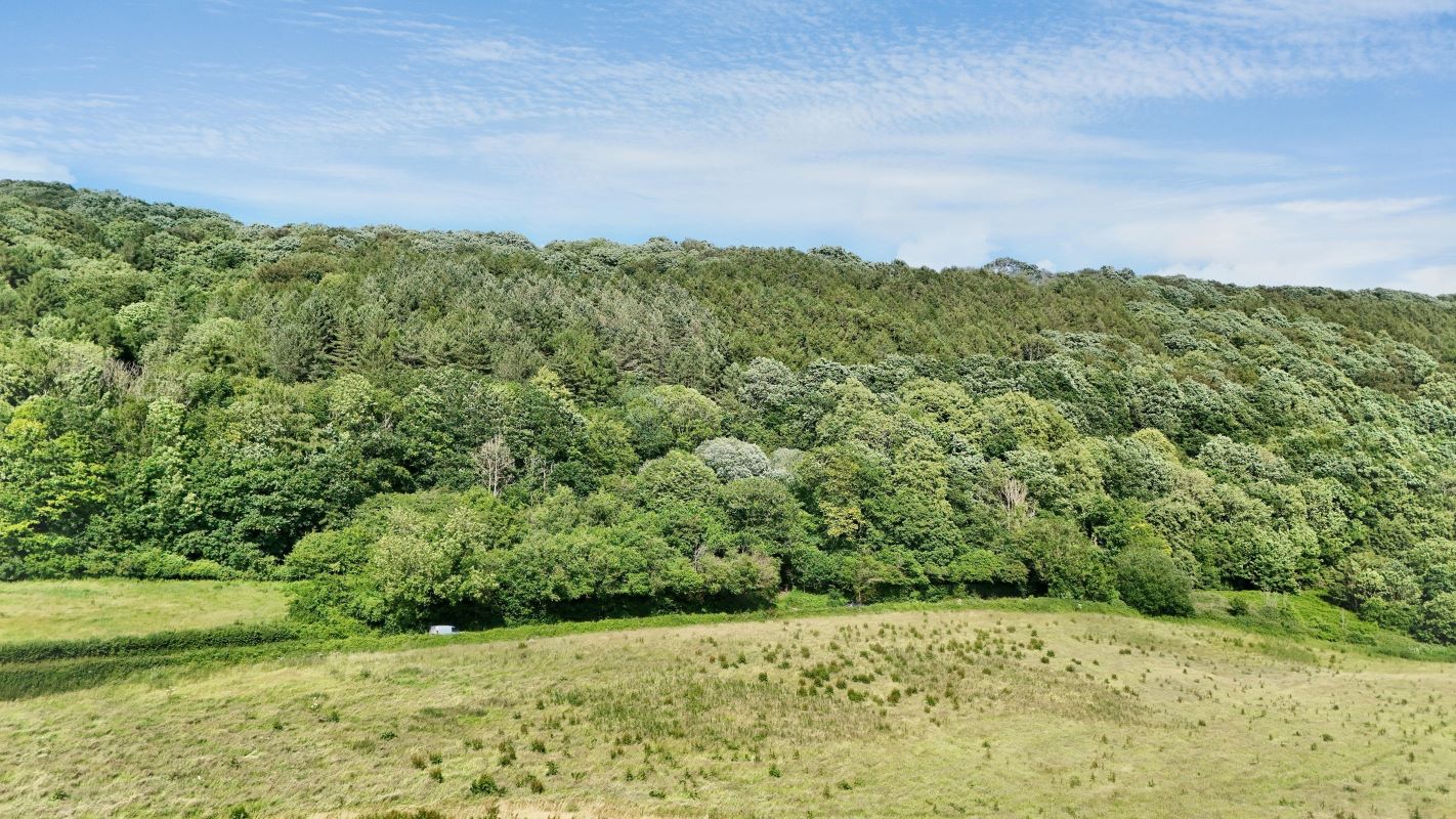 Image 13 of 18