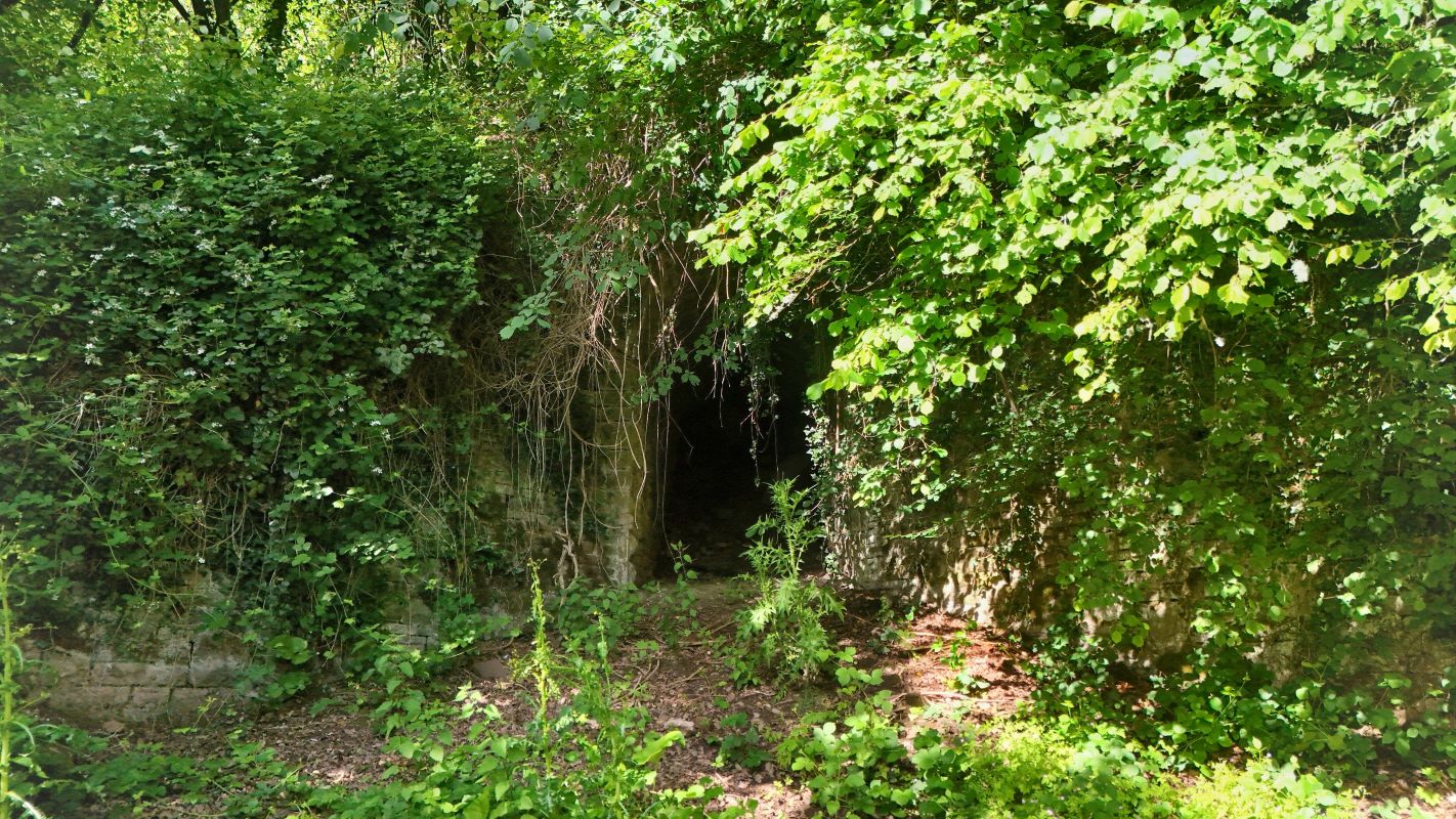 Image 14 of 18