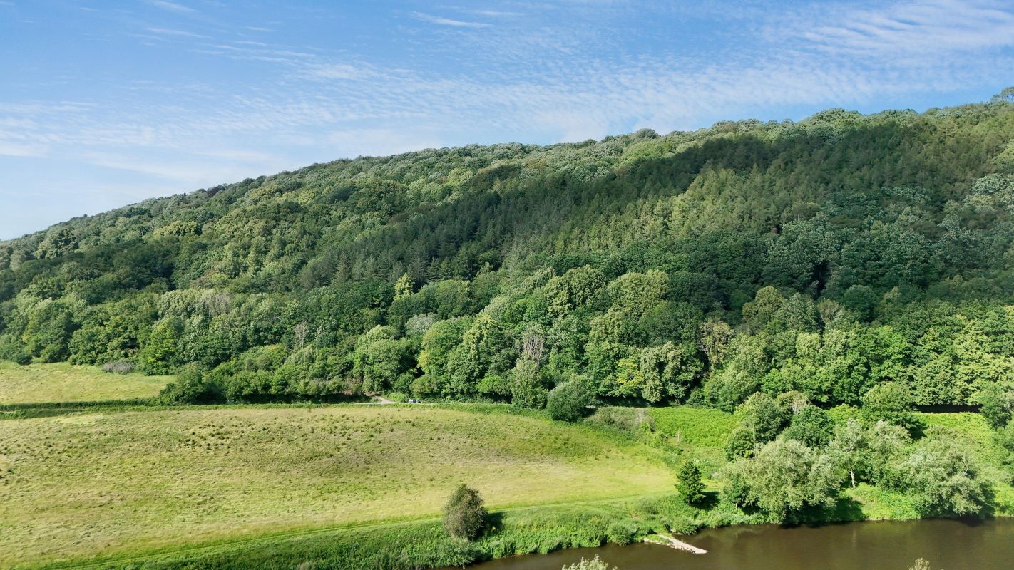 Image 15 of 18