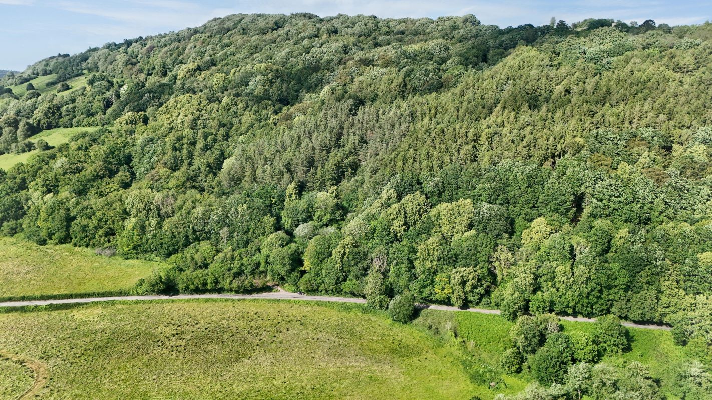 Image 16 of 18