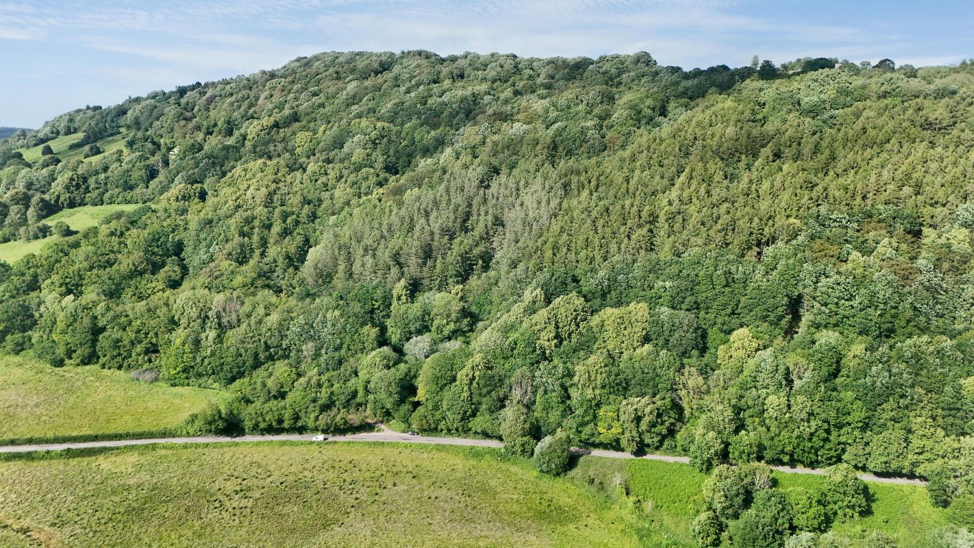 Image 17 of 18