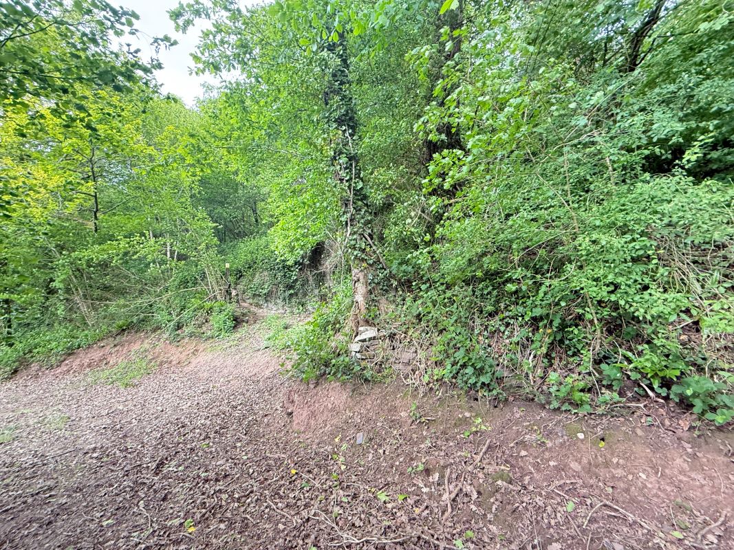 Image 4 of 18