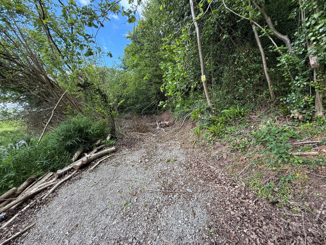 Image 1 of 18