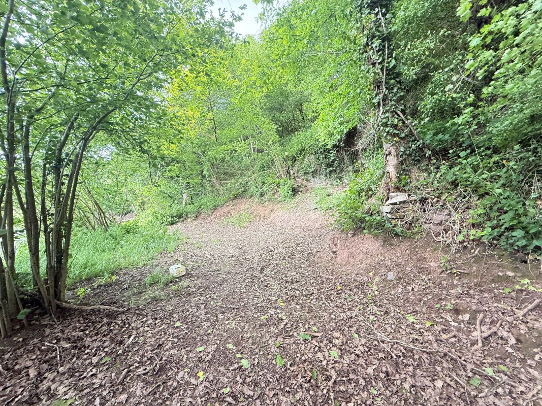 Image 3 of 18