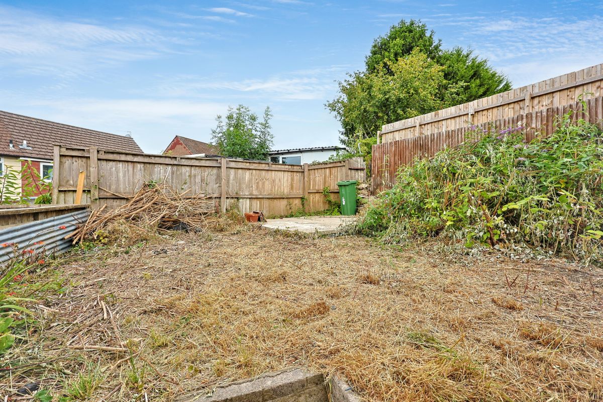 Image 15 of 17