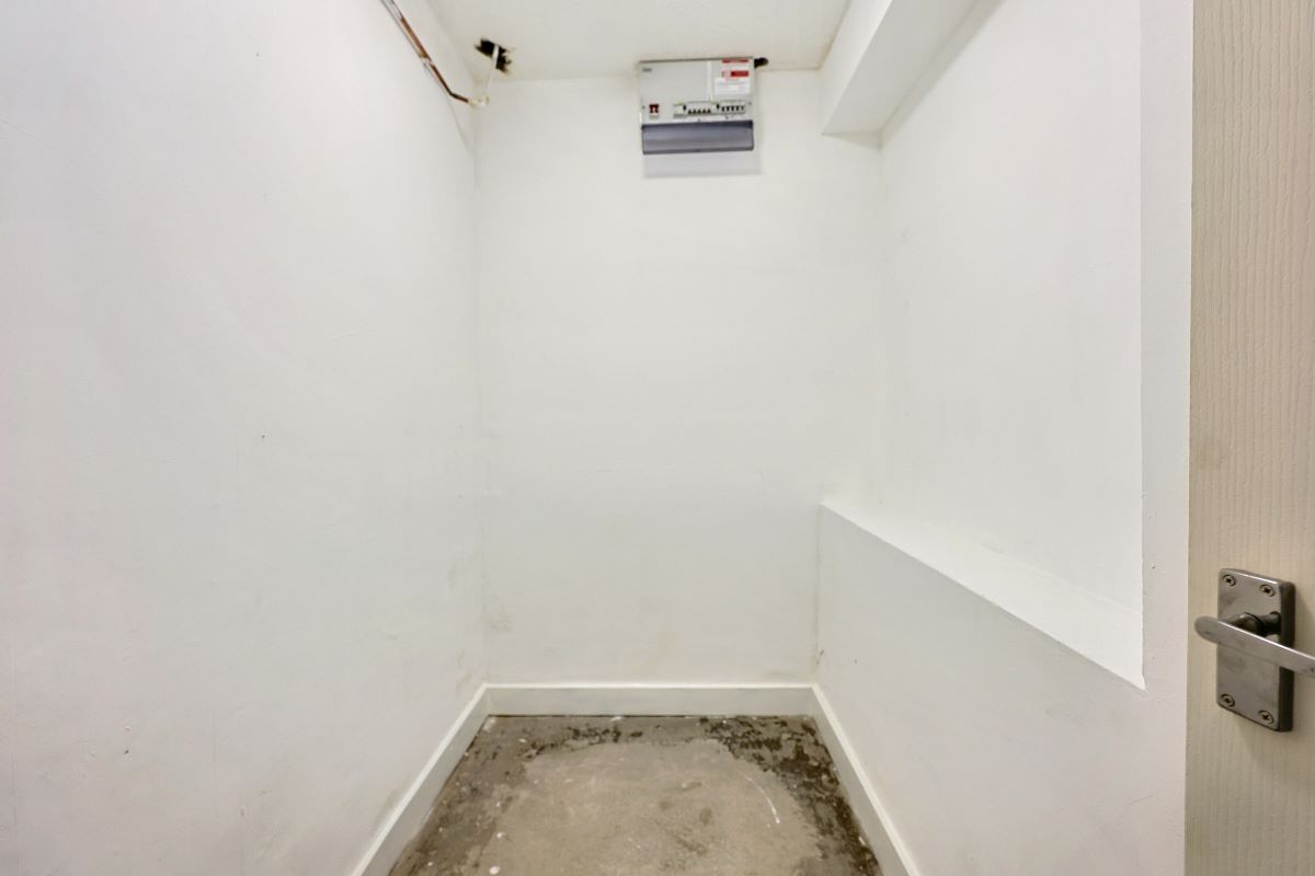 Image 8 of 14