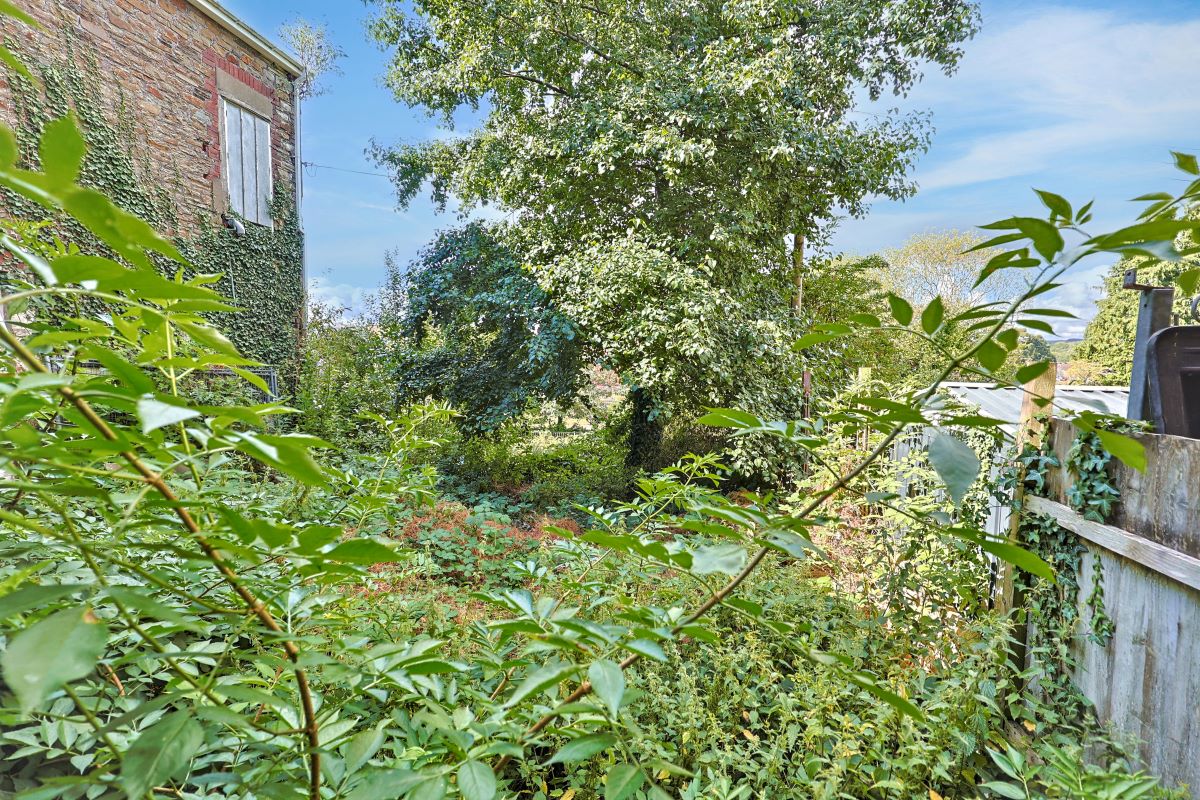 Image 9 of 14