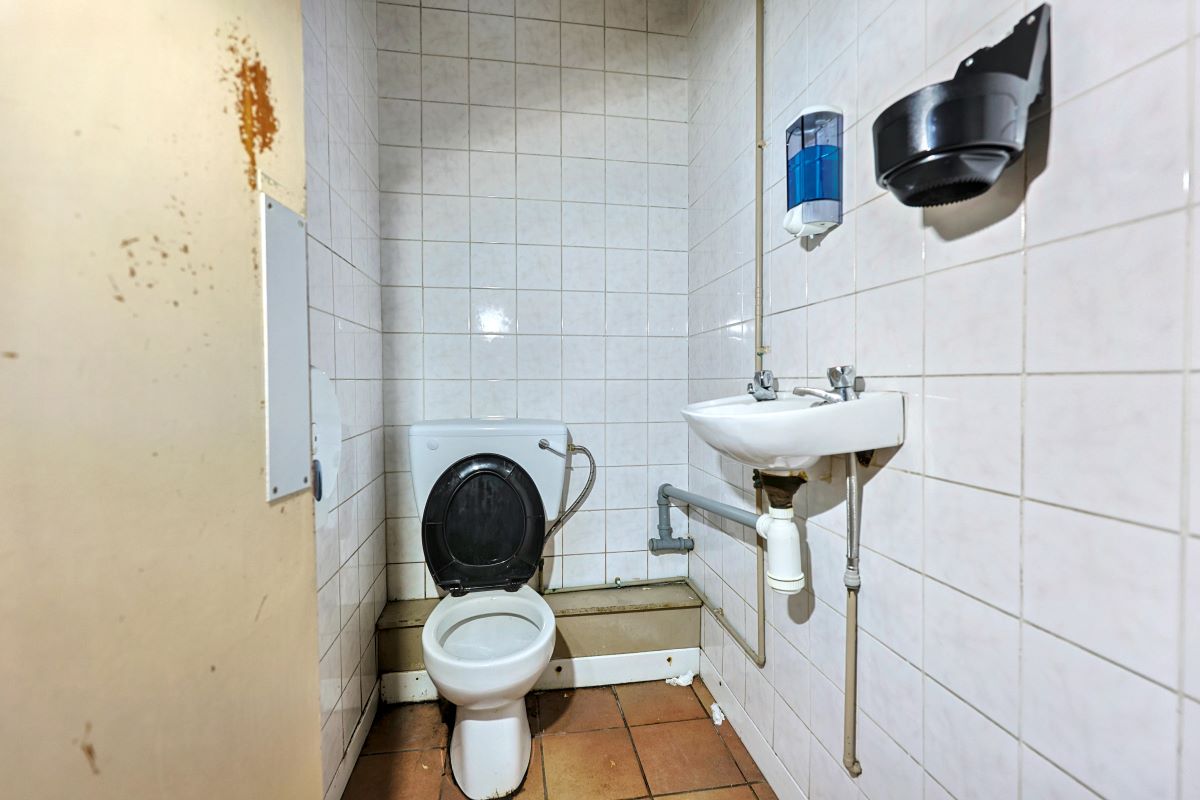 Image 6 of 13
