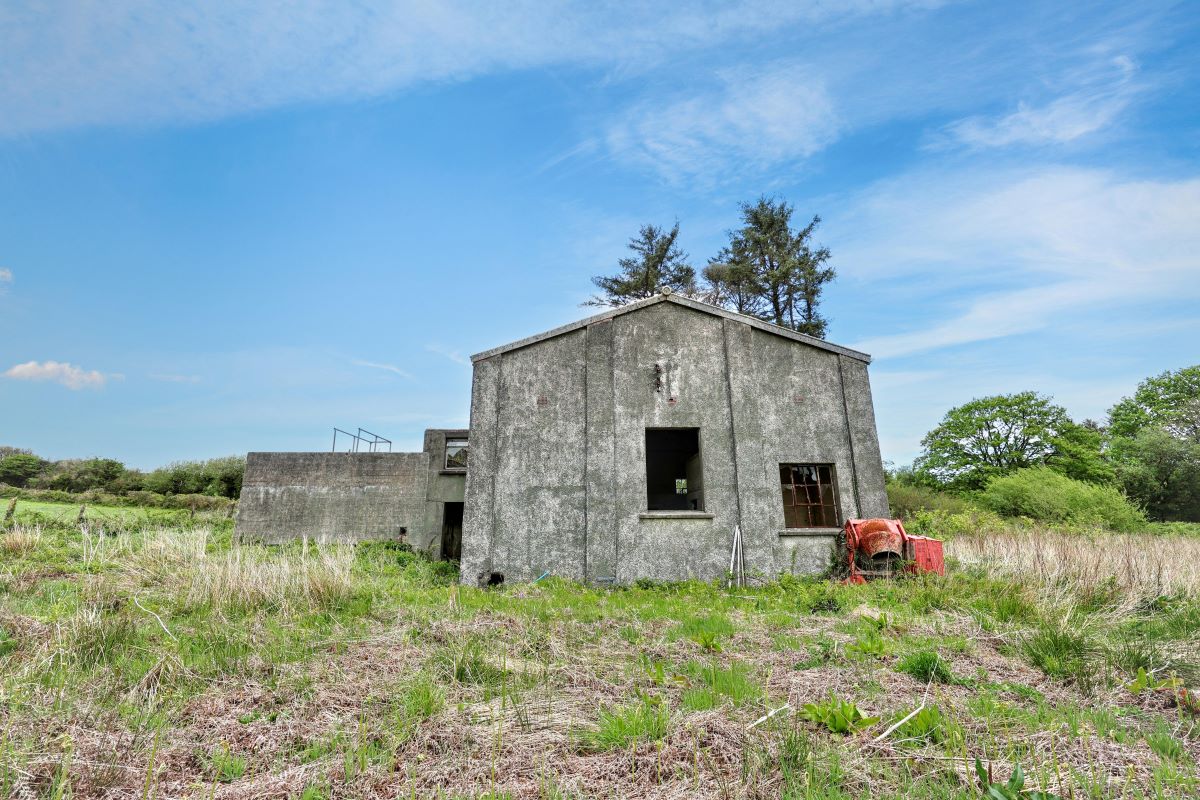 Image 5 of 24