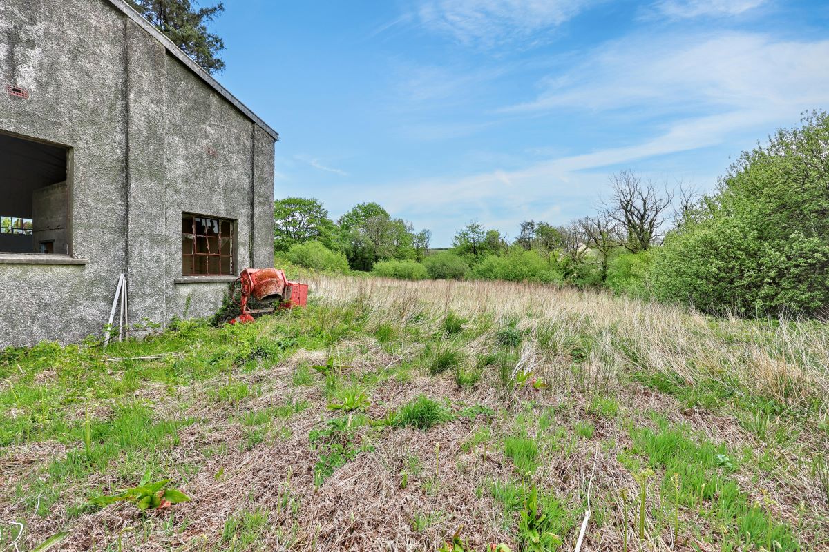 Image 17 of 24