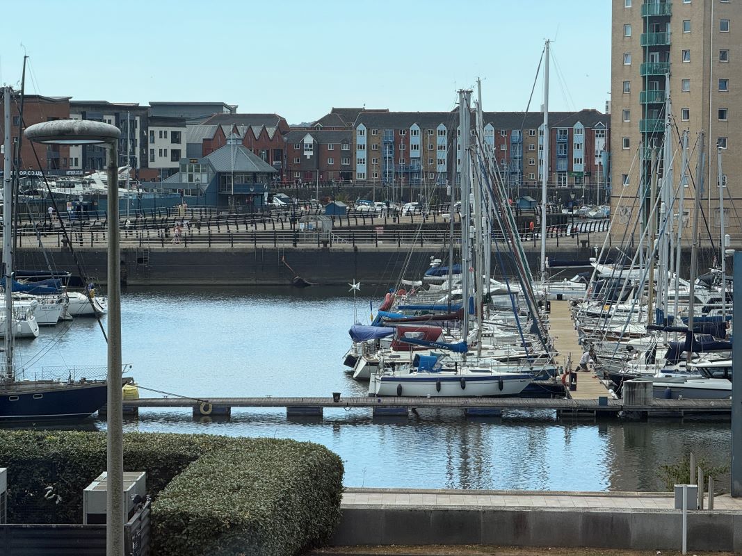 Image 11 of 12