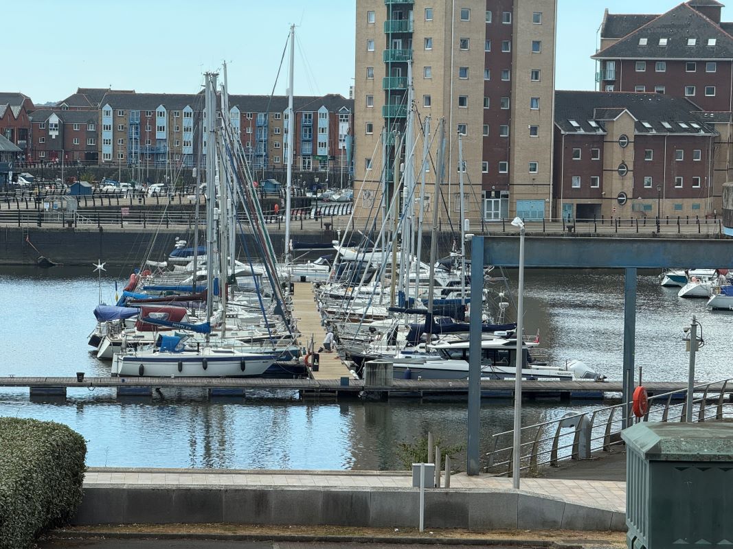 Image 12 of 12