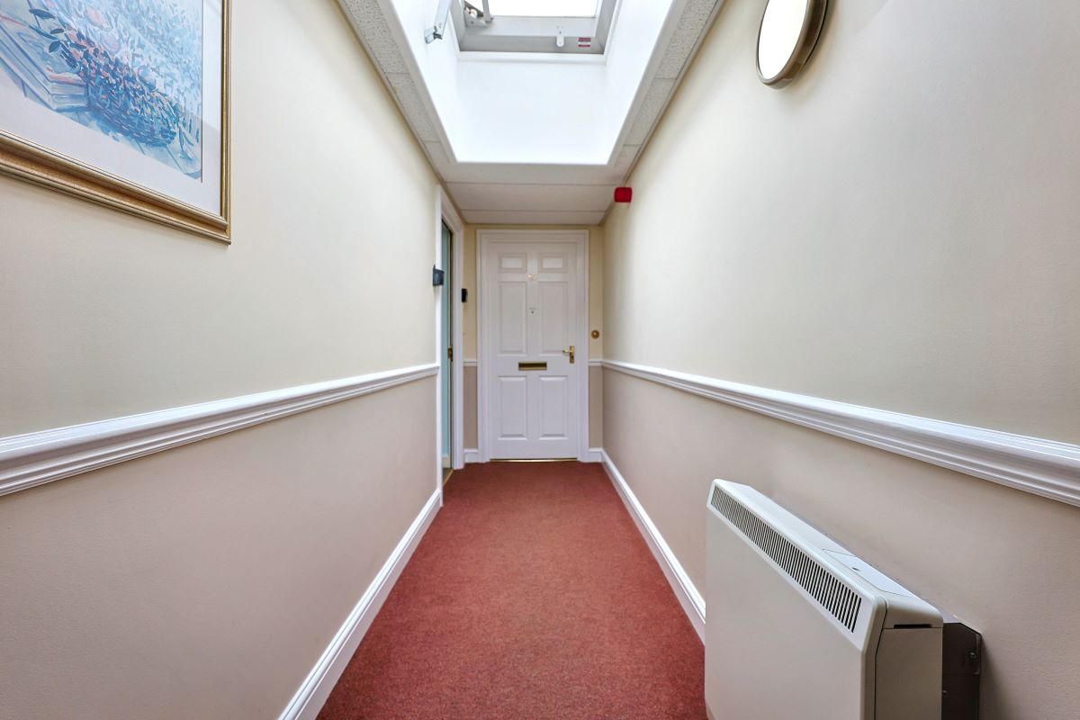 Image 11 of 17