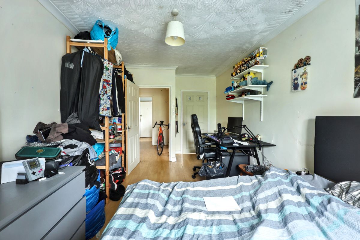 Image 6 of 17