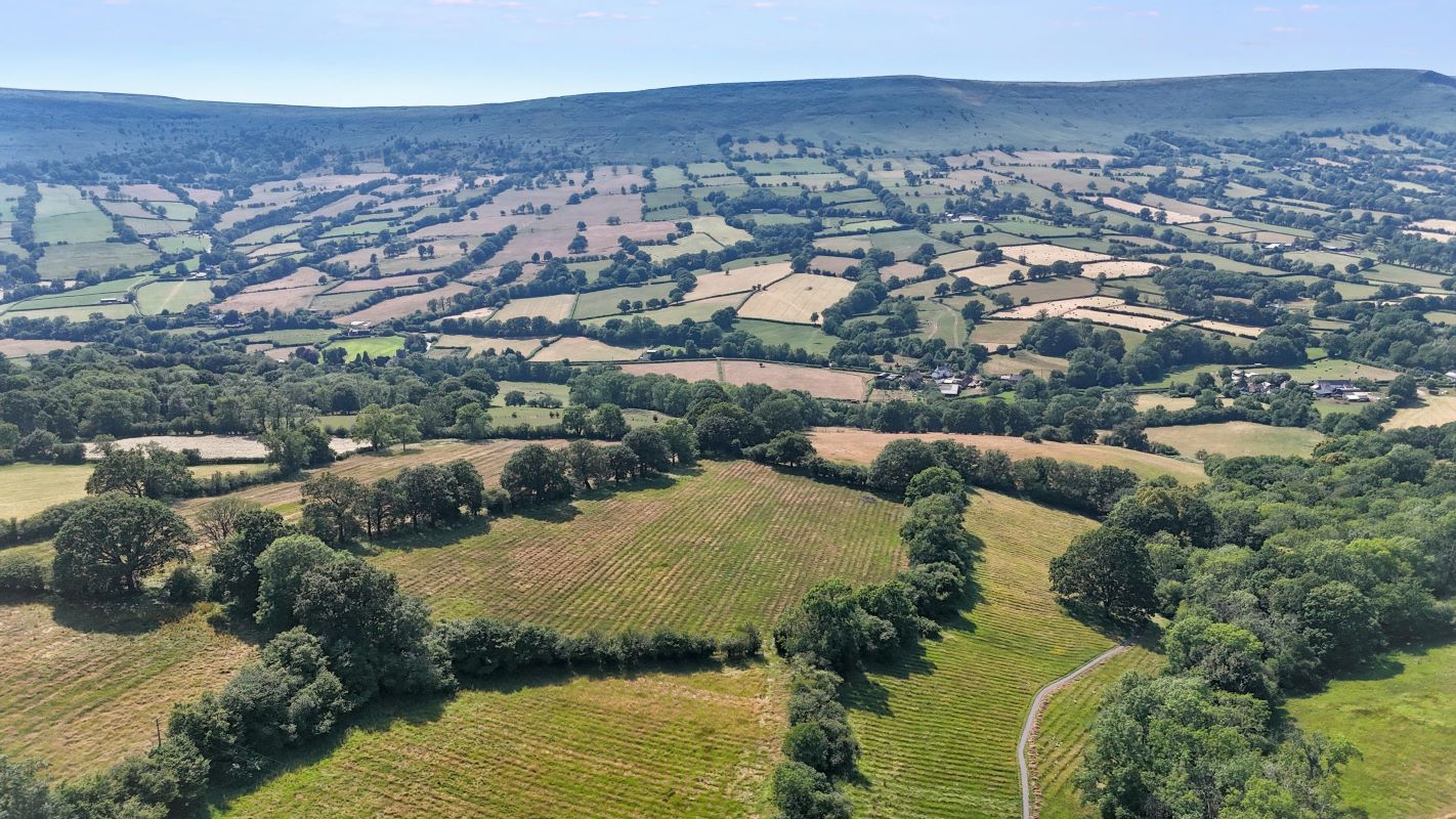 Image 20 of 23