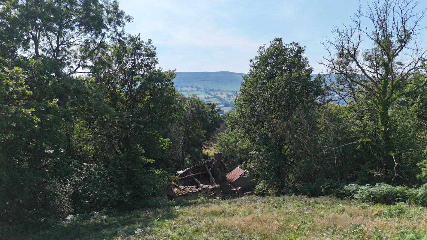 Image 19 of 23