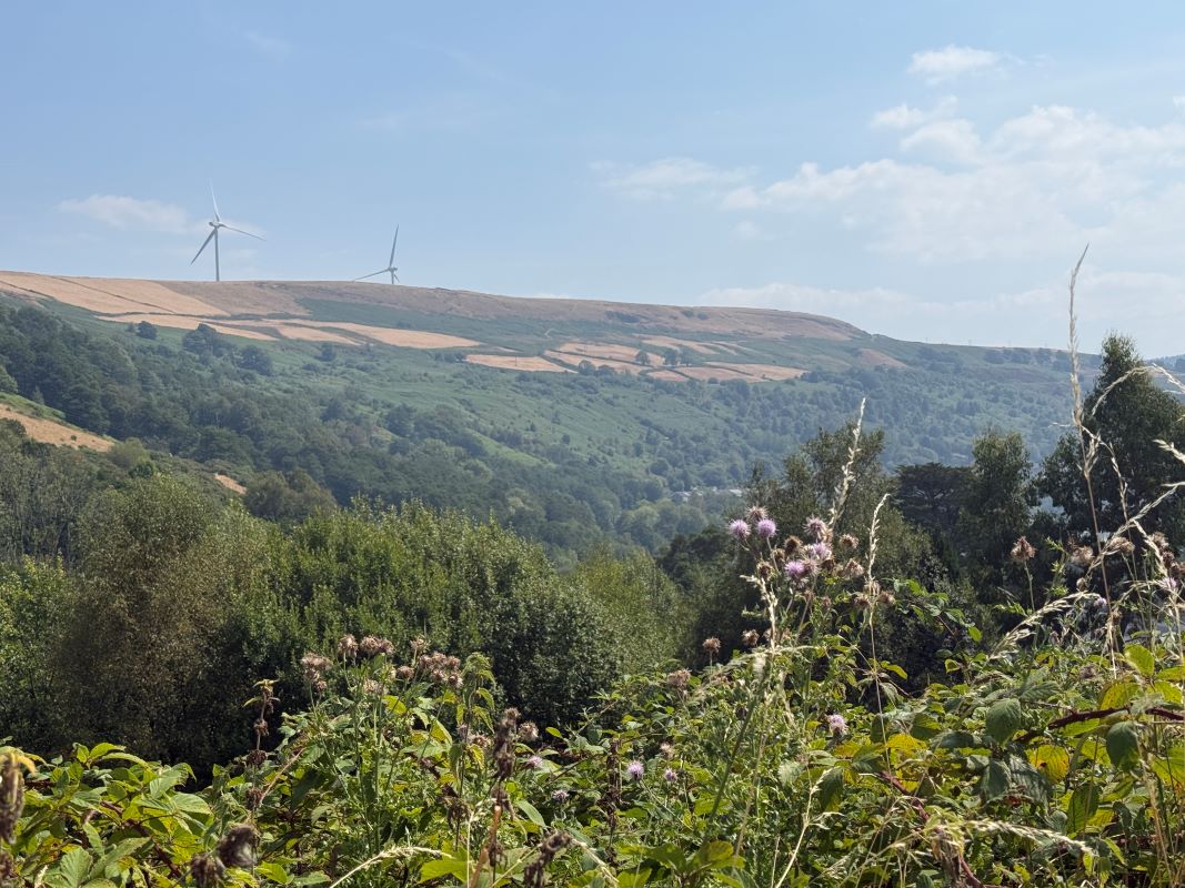 Image 15 of 19