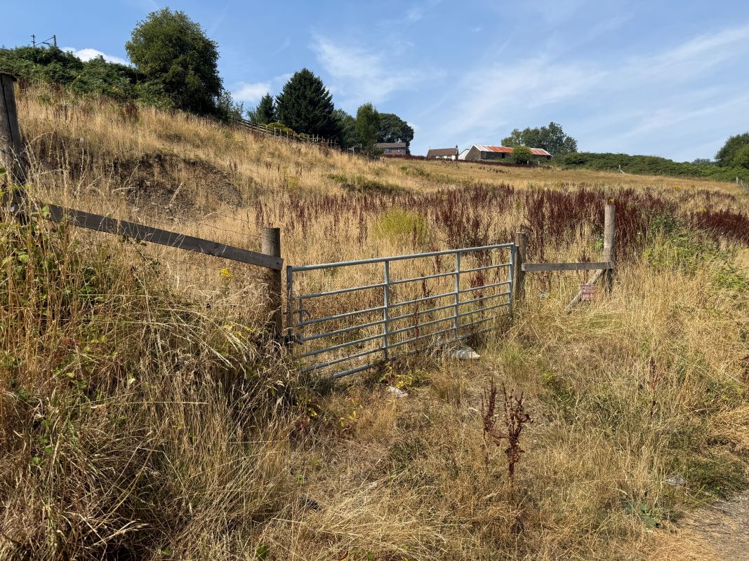 Image 17 of 19