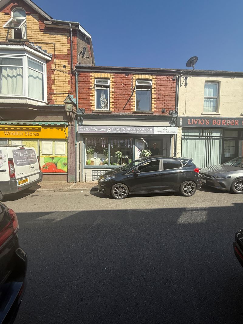 Image 2 of 11