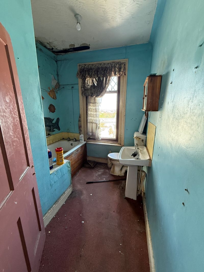 Image 10 of 11