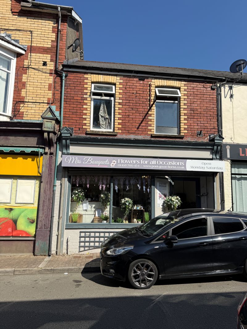 Image 1 of 11
